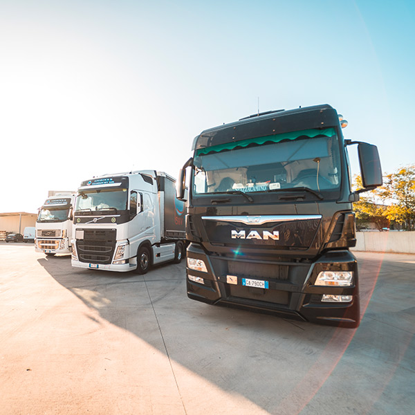 Trasporti-logistica-industriale